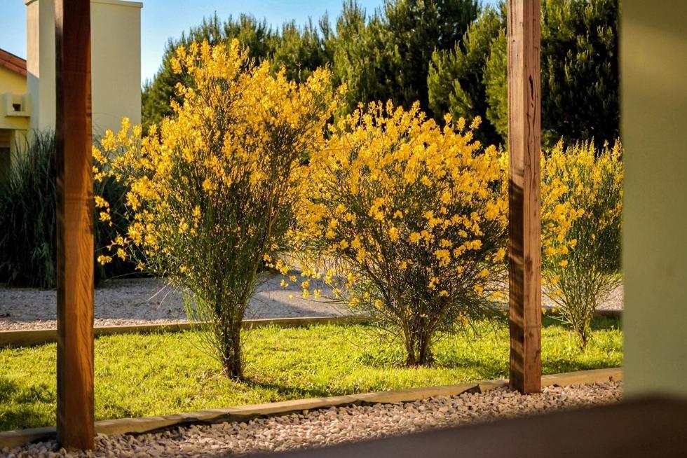 הוילה סיירה די ונטאנה Cabanas De Las Pinturas מראה חיצוני תמונה